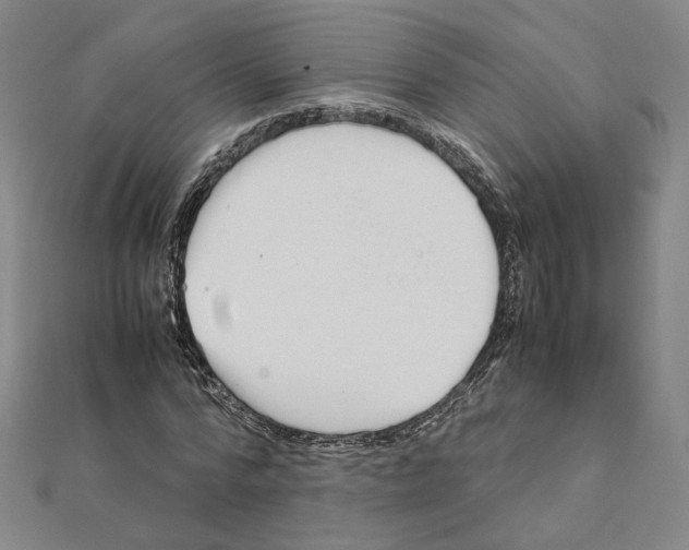 X0000111490776200908111223