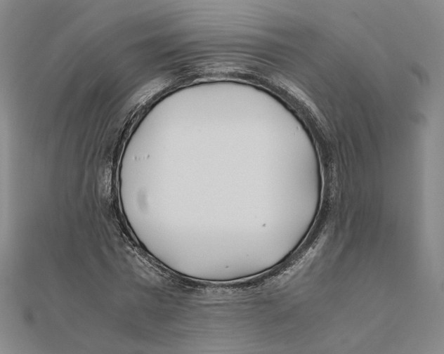 X0000111490777200908111223