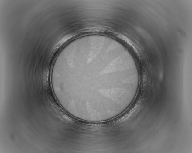 X0000111490778200908111223