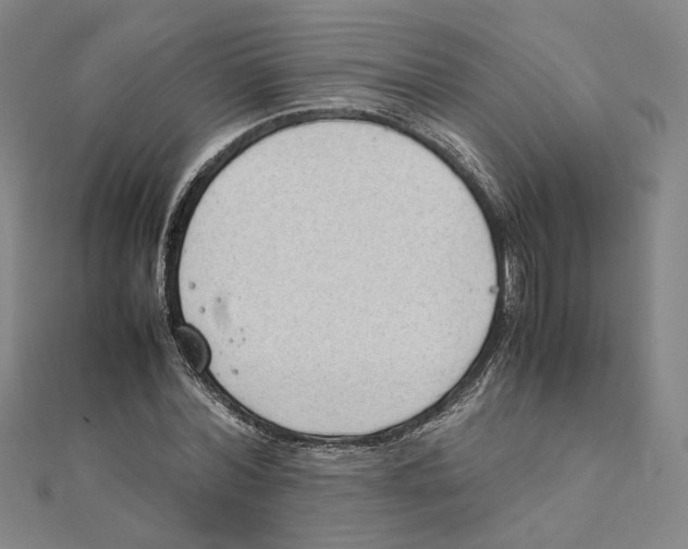 X0000111490780200908111223