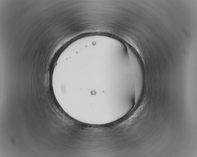 X0000111490781200908111223