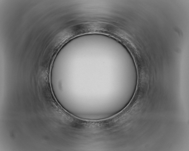 X0000111490785200908111223