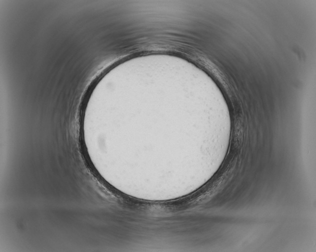 X0000111490787200908111223