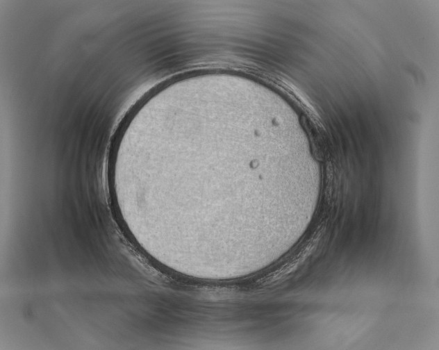 X0000111490788200908111223