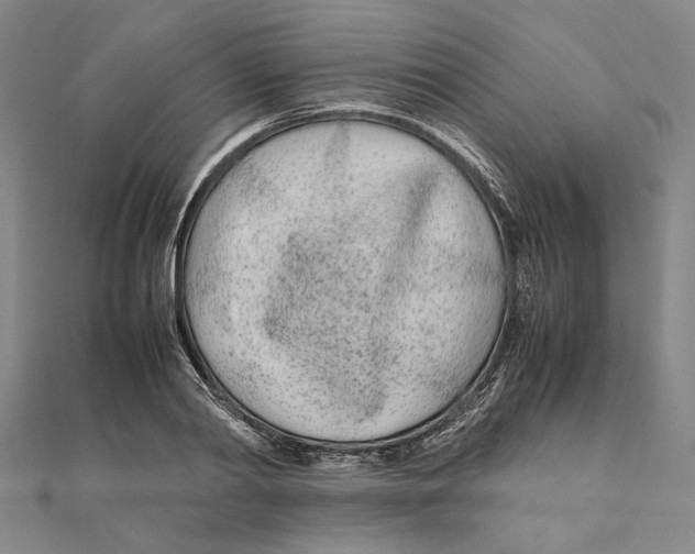 X0000111490790200908111223