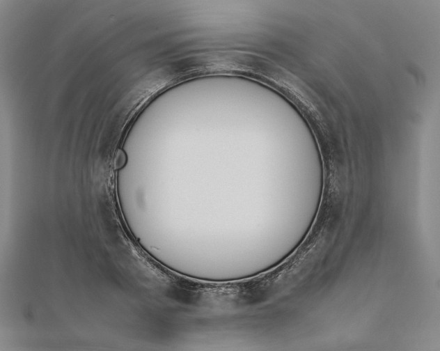 X0000111490793200908111223