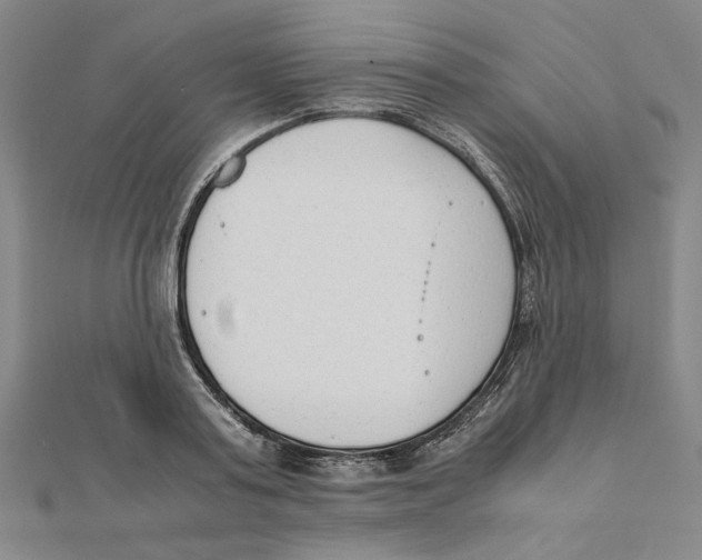 X0000111490795200908111223