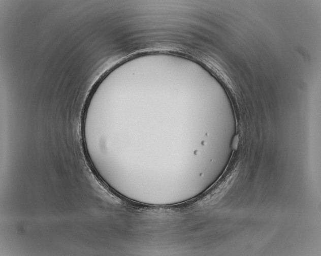 X0000111490797200908111223
