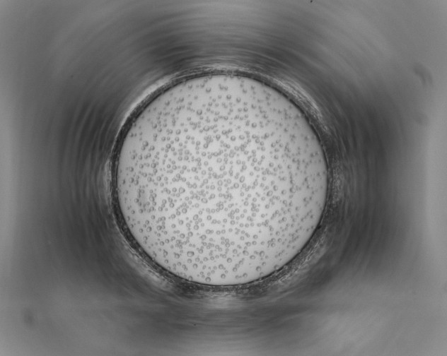 X0000111490798200908111223
