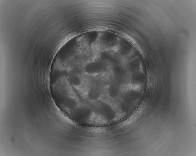 X0000111490802200908111222