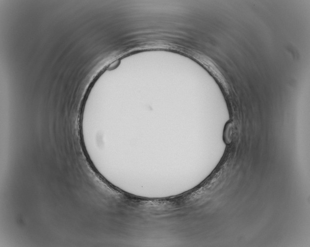 X0000111490805200908111222