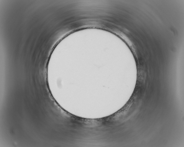 X0000111490807200908111222