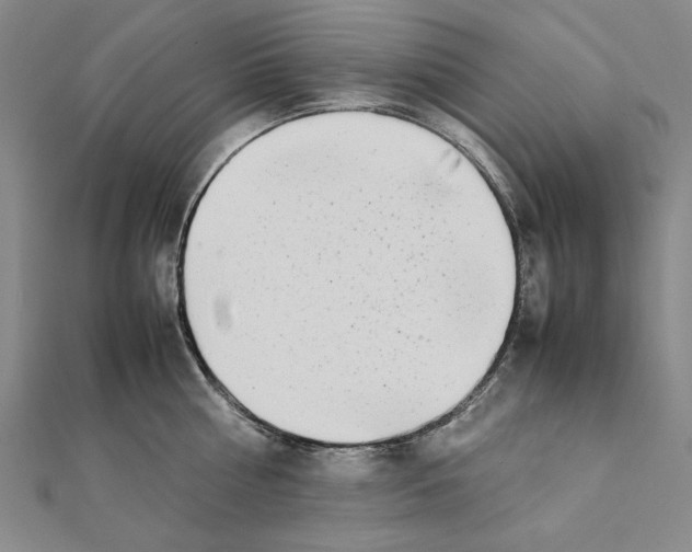 X0000111490810200908111222