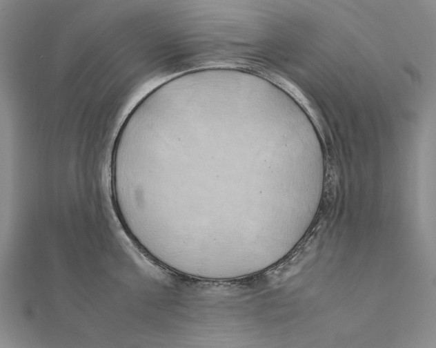 X0000111490811200908111222