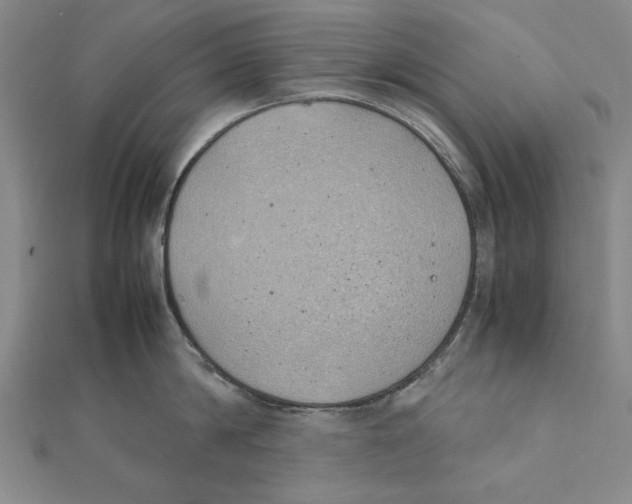 X0000111490814200908111222