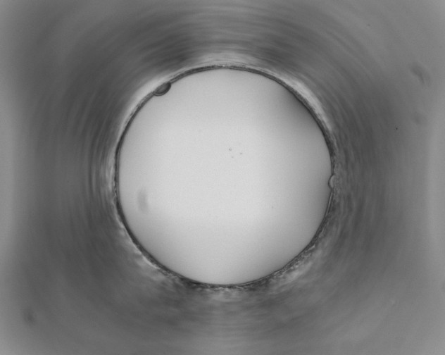 X0000111490815200908111222