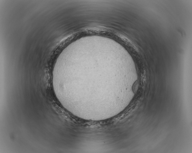 X0000111490822200908111222