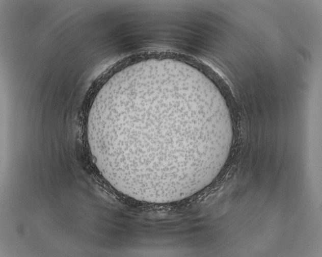 X0000111490823200908111222