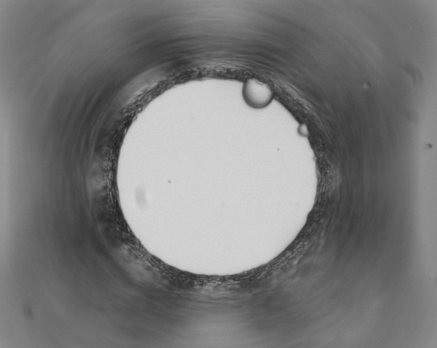 X0000111490824200908111222