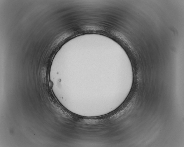 X0000111490825200908111222