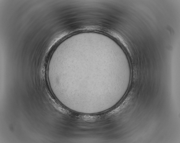 X0000111490827200908111222