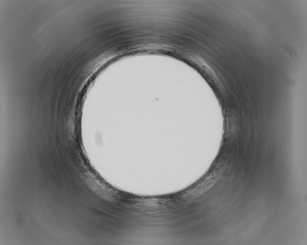 X0000111490828200908111222