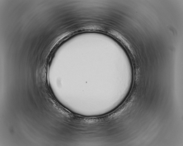 X0000111490829200908111222