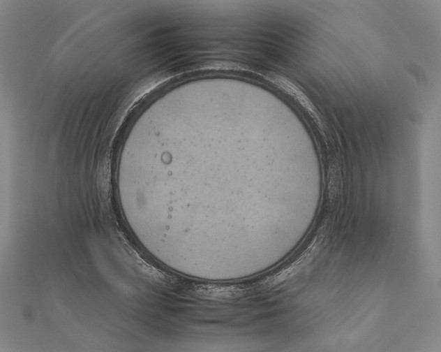 X0000111490831200908111222