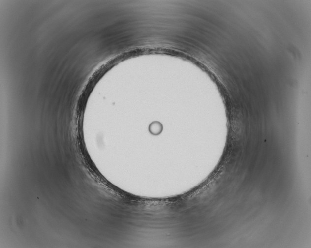 X0000111490832200908111222