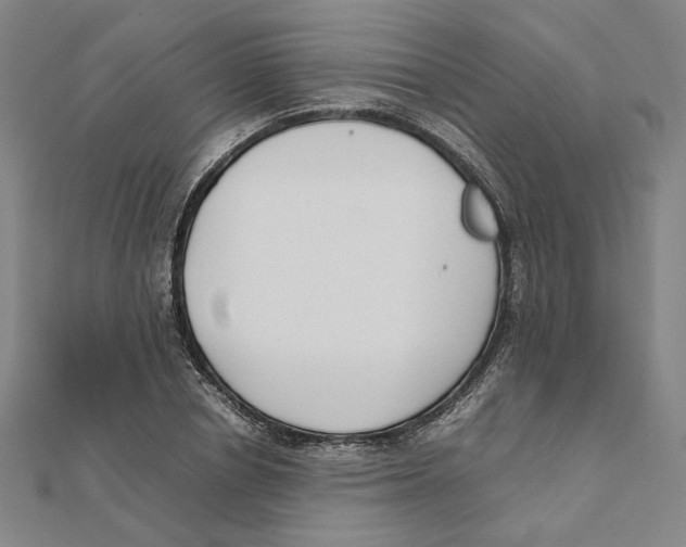 X0000111490834200908111222