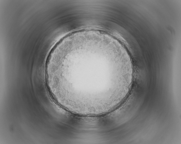 X0000111490836200908111222