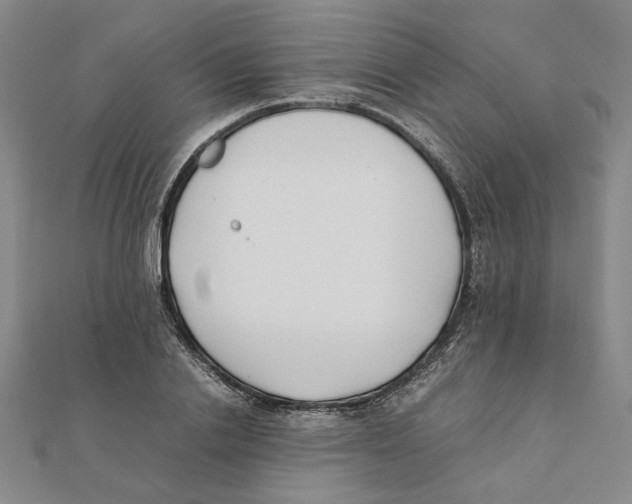 X0000111490838200908111222