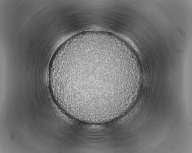 X0000111490839200908111222