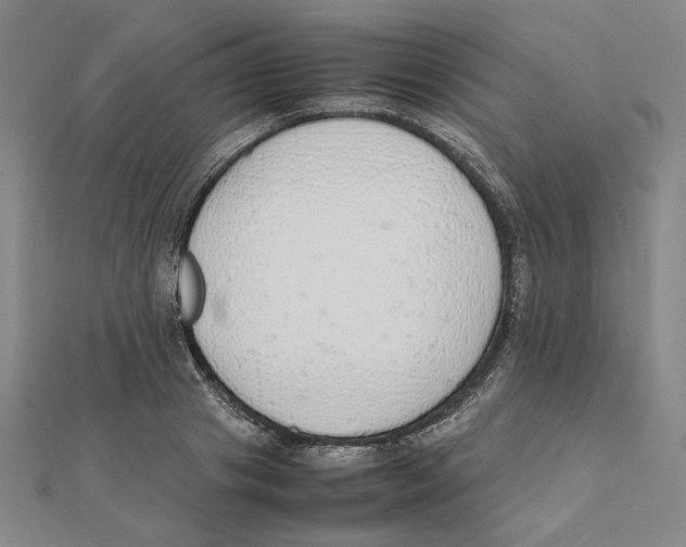 X0000111490841200908111222