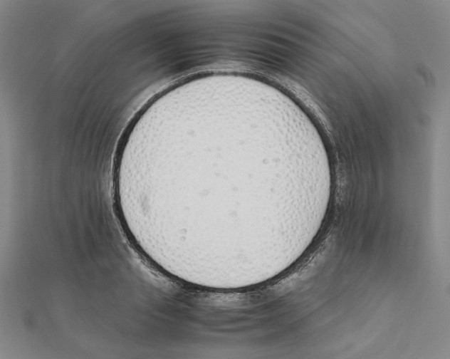 X0000111490845200908111222