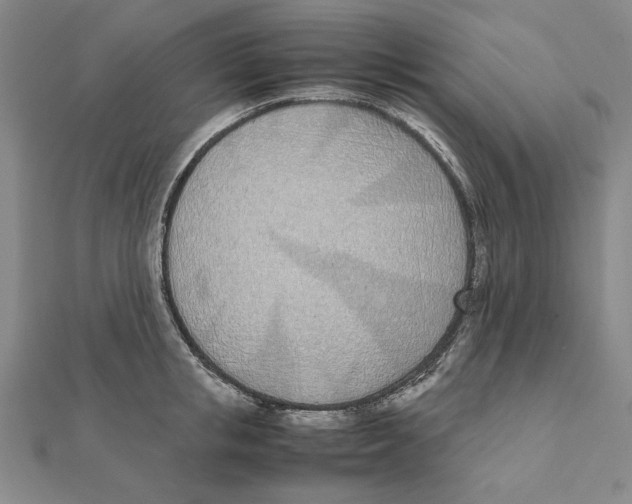 X0000111490853200908111222