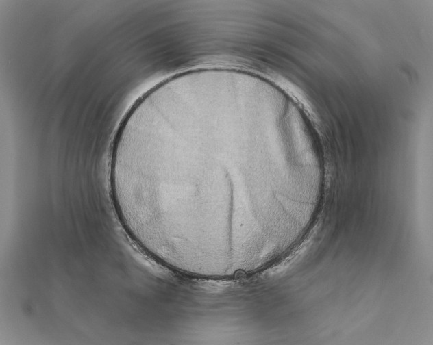 X0000111490854200908111222