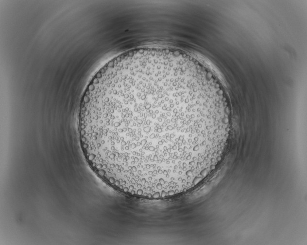 X0000111490855200908111222
