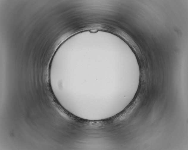 X0000111490858200908111222