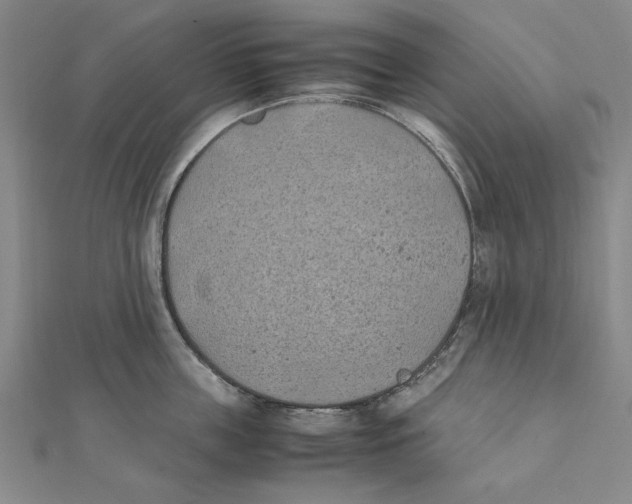 X0000111490859200908111222