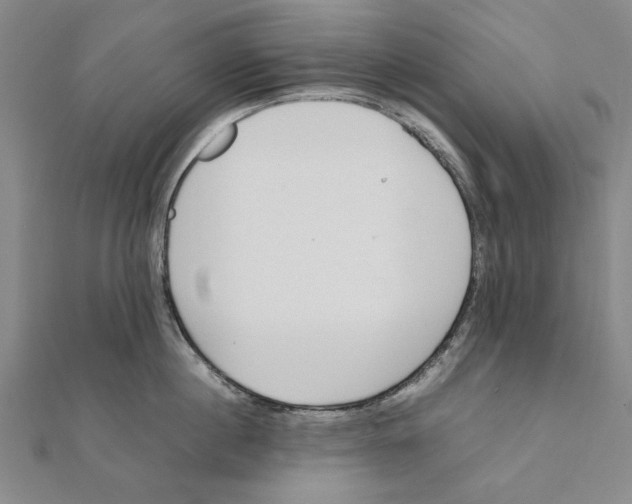 X0000111490860200908111222