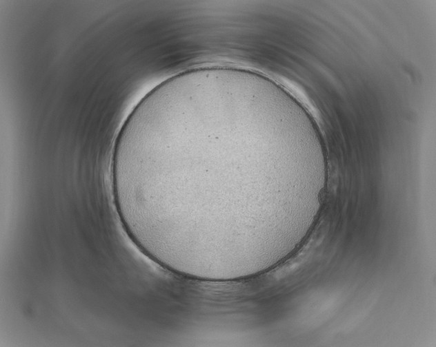 X0000111490863200908111222