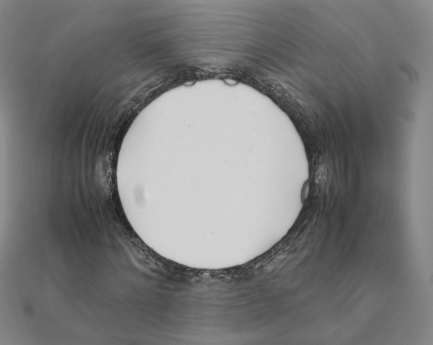 X0000111490868200908111222