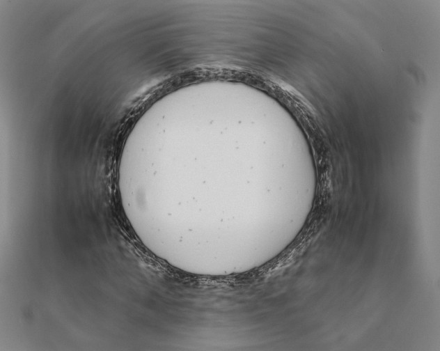 X0000111490870200908111222