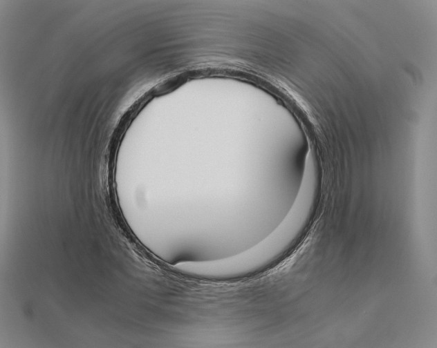 X0000111490877200908111221