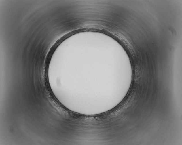 X0000111490880200908111221