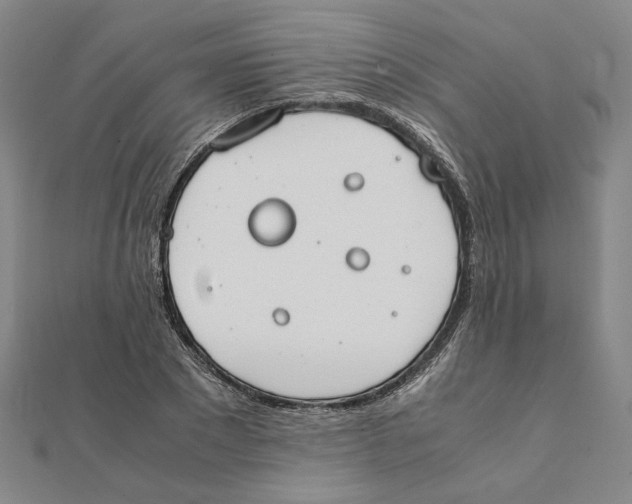 X0000111490881200908111221