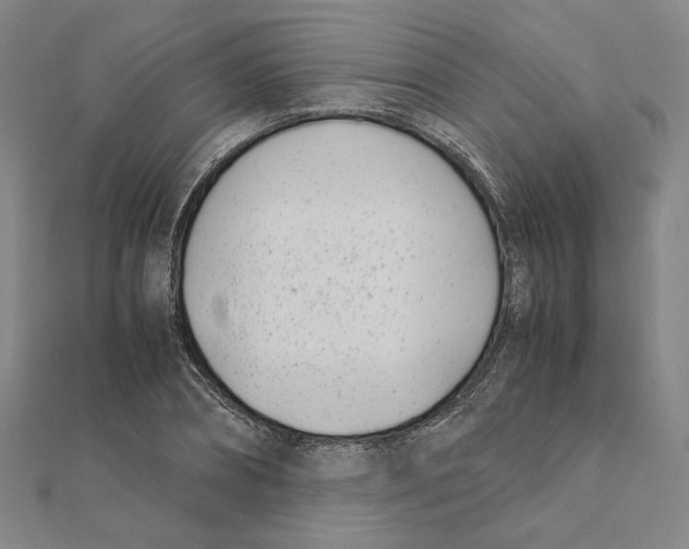 X0000111490882200908111221