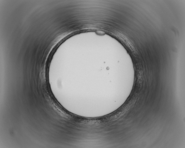 X0000111490884200908111221