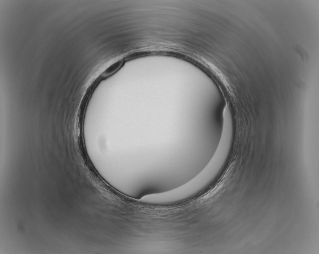 X0000111490885200908111221